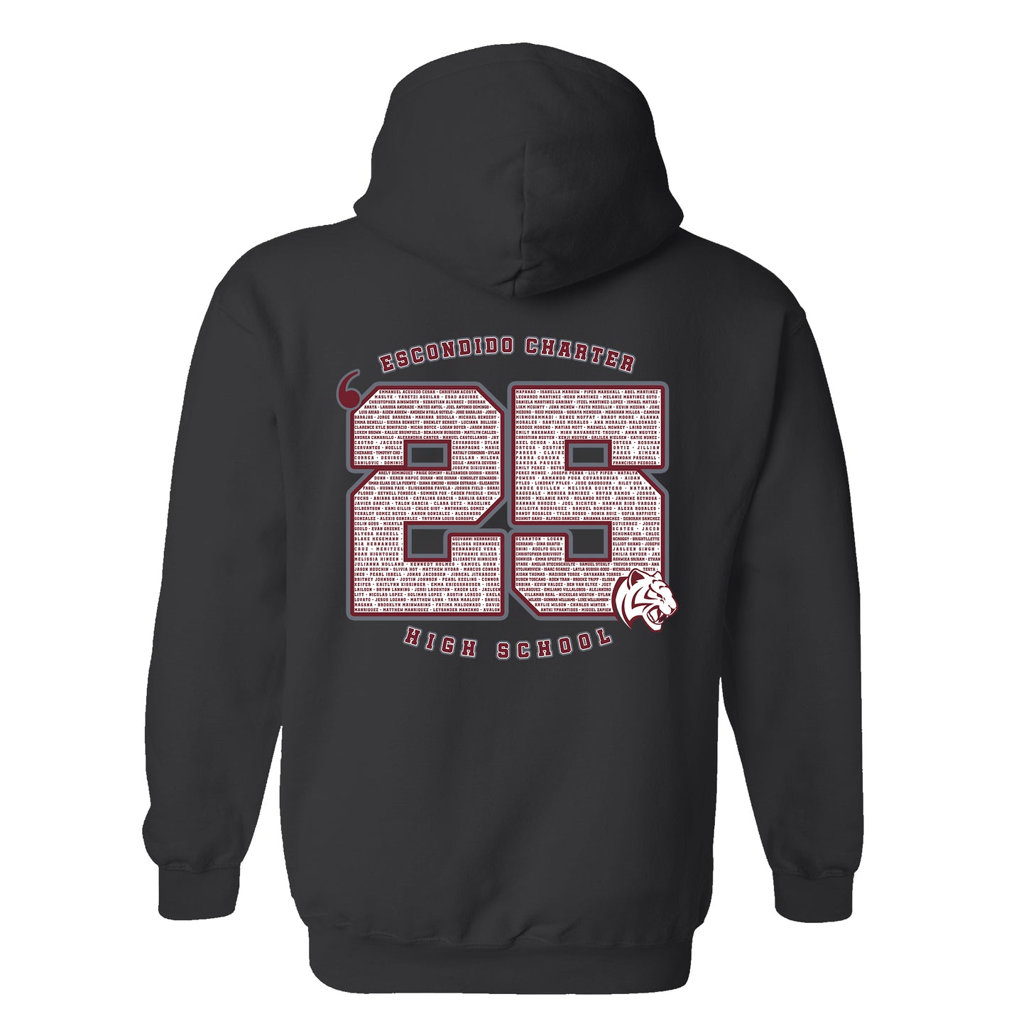 ECHS "Class of 2025" Graphic Hoodie