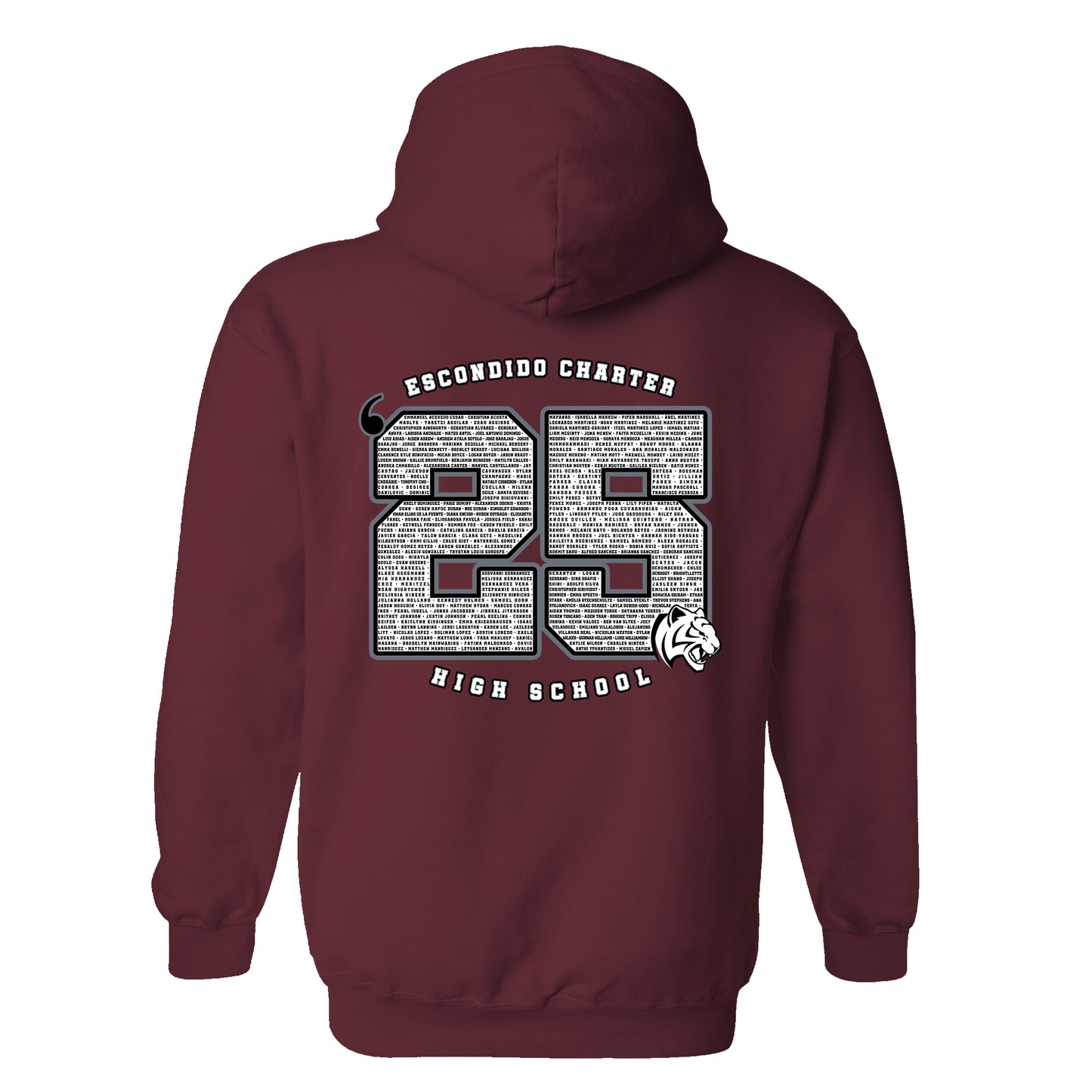 ECHS "Class of 2025" Graphic Hoodie
