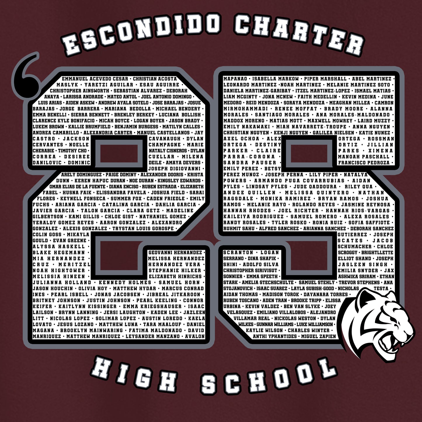 ECHS "Class of 2025" Graphic Hoodie